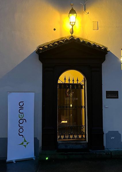 Connessioni di Valore - Sorgenia