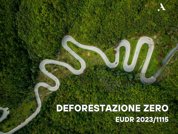 Deforestazione Zero: scatta il conto alla rovescia per le Grandi Imprese