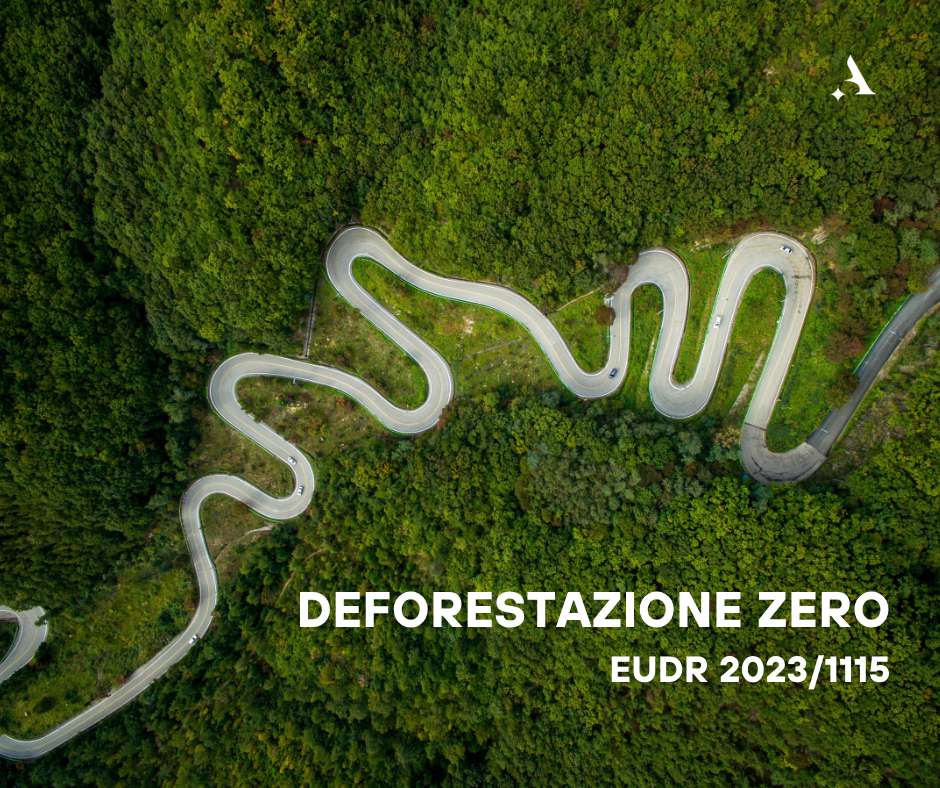 Deforestazione Zero: scatta il conto alla rovescia per le Grandi Imprese