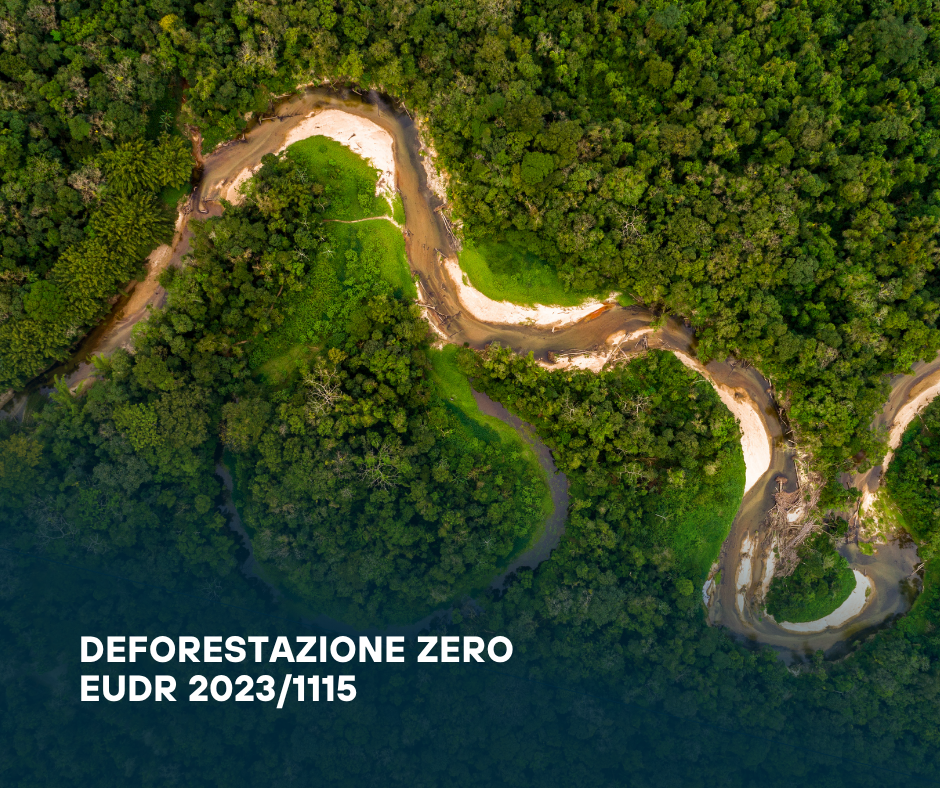 EUDR: perché l’attuazione del Regolamento sulla deforestazione non può attendere